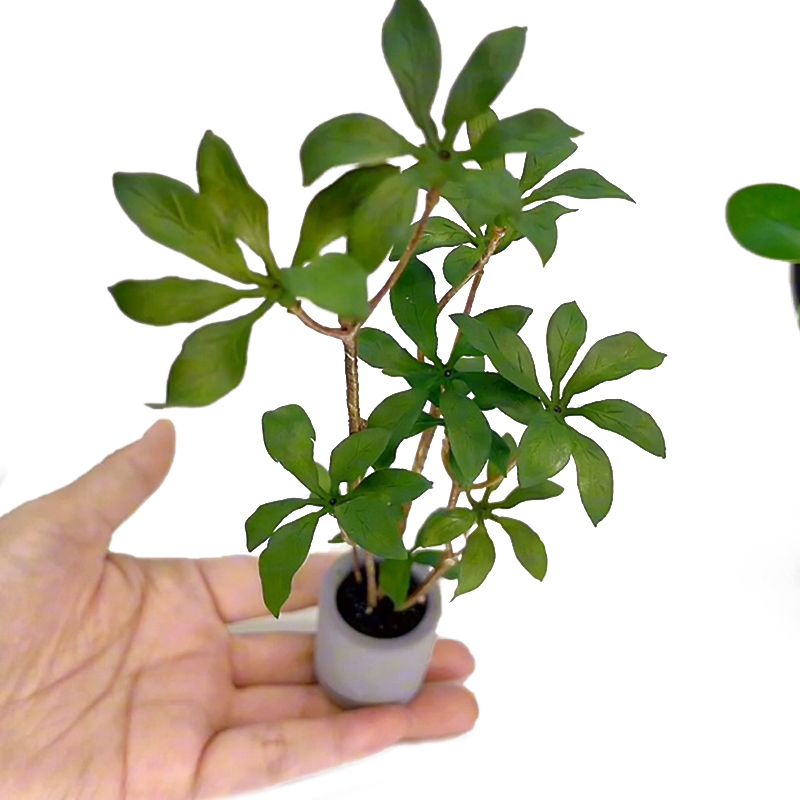 Bonsai Garden Accessories - 1:6 Dollhouse Miniature Potted Plants Model