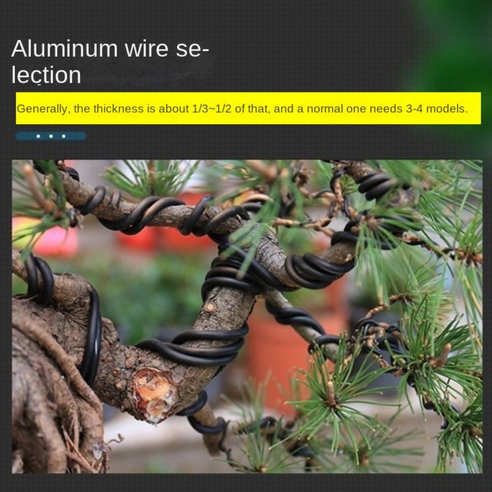 Aluminum Bonsai Wire Garden Bo - Bonsai Garden Tools ulasan dan harga