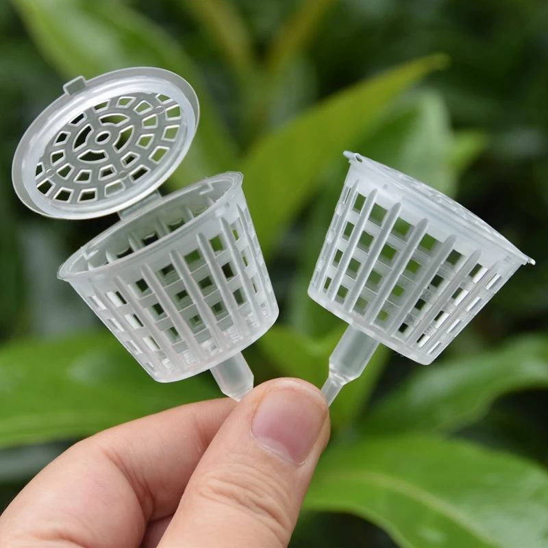 20/50Pcs Fertilizer Basket Wit - Bonsai Garden Of Ct ulasan dan harga