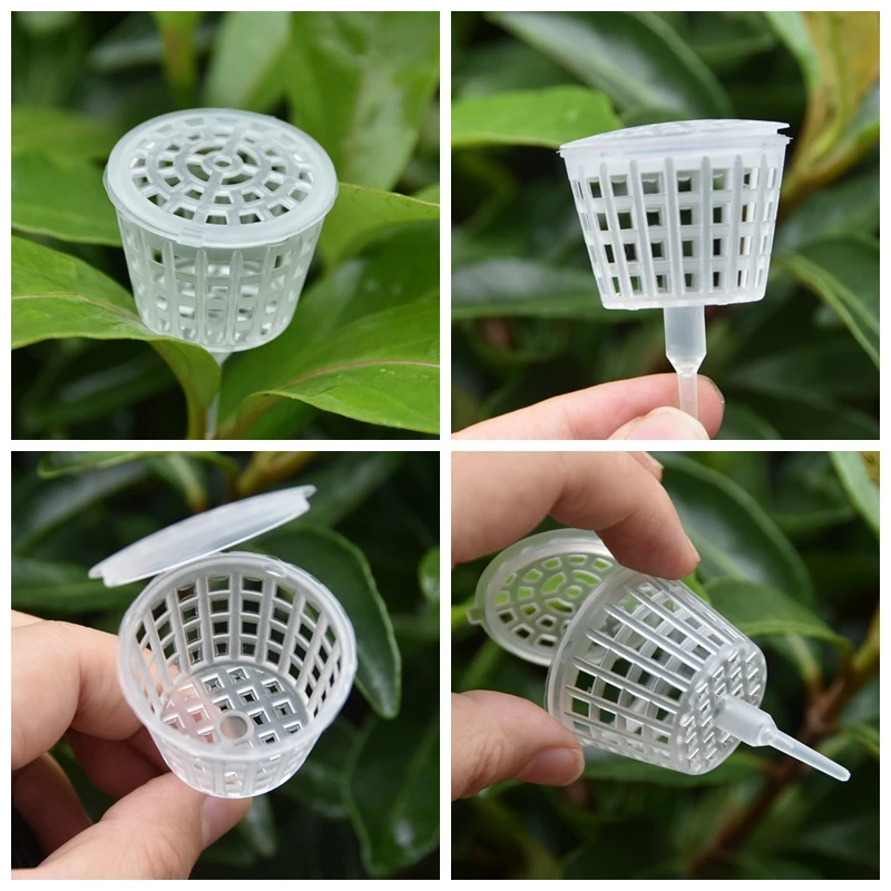 20/50Pcs Fertilizer Basket Wit - Bonsai Garden Of Ct ulasan dan harga