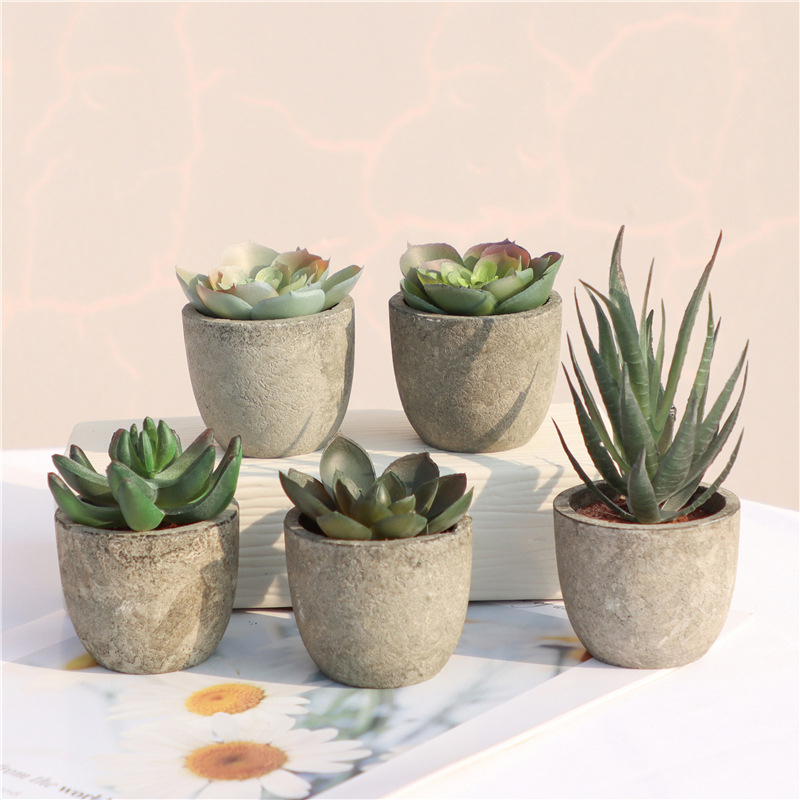 Mini Artificial Aloe Plants Bo - Bonsai Garden Sushi ulasan dan harga