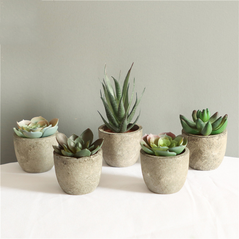 Mini Artificial Aloe Plants Bo - Bonsai Garden Sushi ulasan dan harga