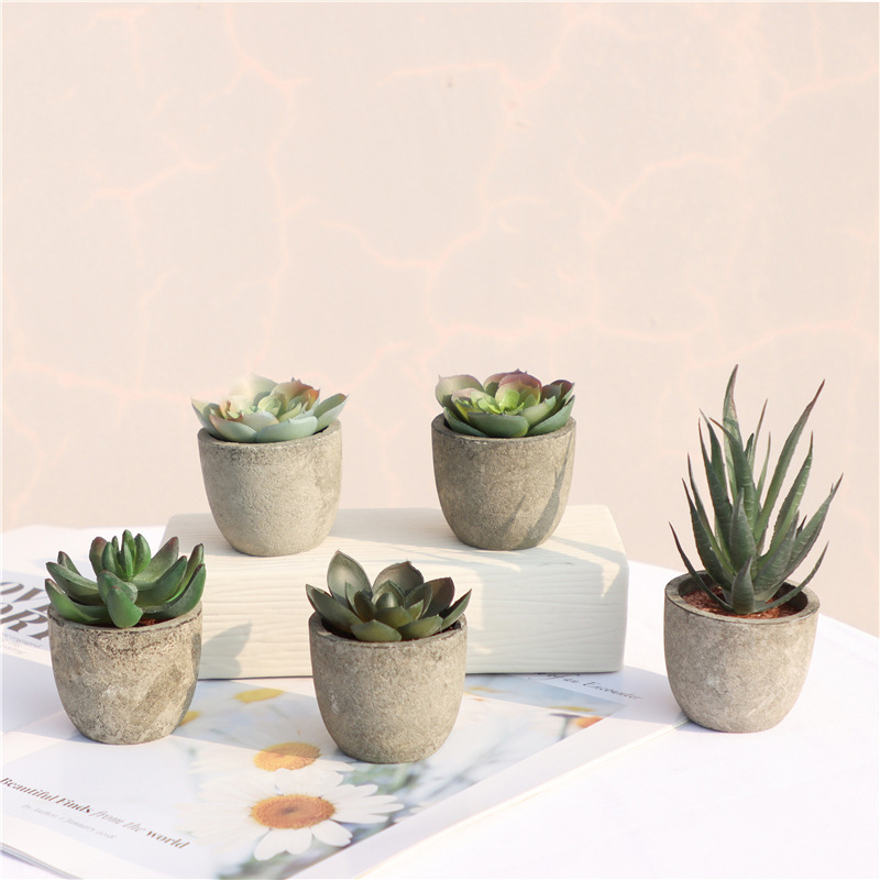 Mini Artificial Aloe Plants Bo - Bonsai Garden Sushi ulasan dan harga