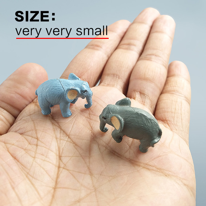 10Pcs Small Elephant Bonsai Fi - Bonsai Garden Japan ulasan dan harga