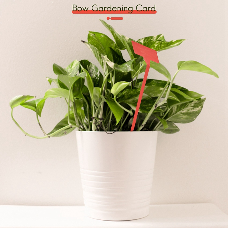ABYP Gardens Planting Tools 50 - Bonsai Garden Tools ulasan dan harga