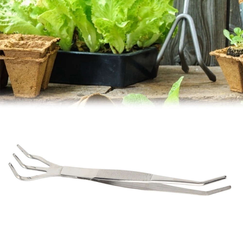 Durable 2 in 1 Bonsai Rake Sta - Bonsai Garden Tools ulasan dan harga