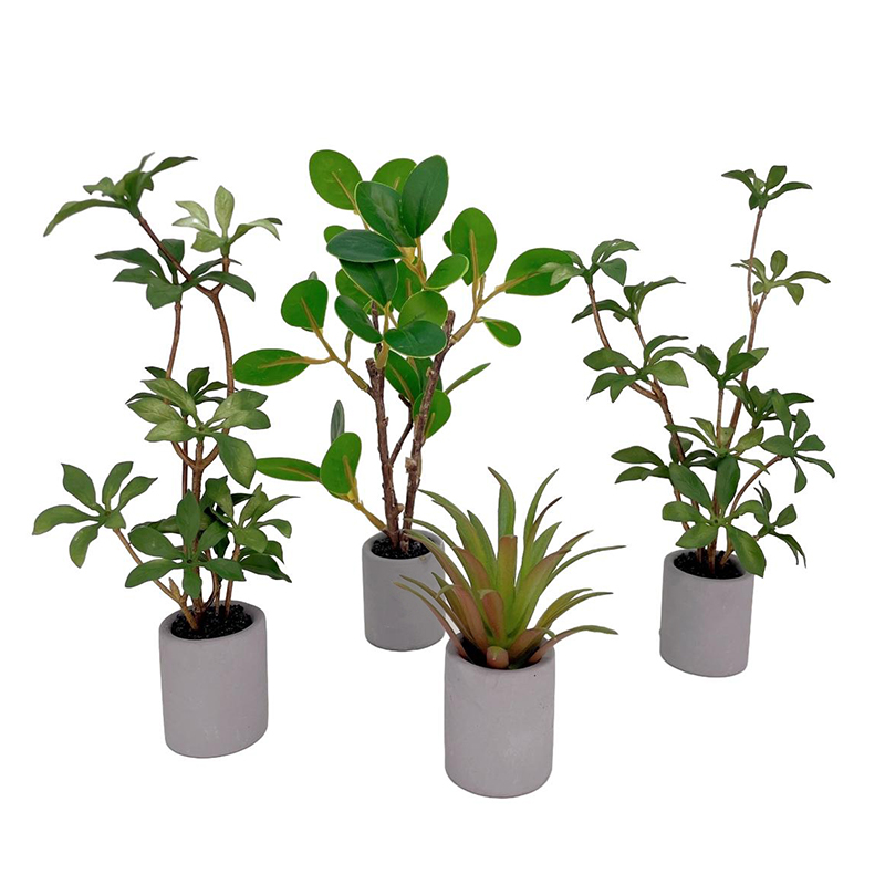 1:6 Dollhouse Miniature Potted - Bonsai Garden Accessories ulasan dan harga