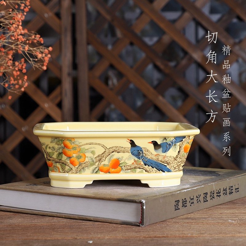 Porcelain Rectangle Bonsai Pot - Bonsai Garden For Desk ulasan dan harga