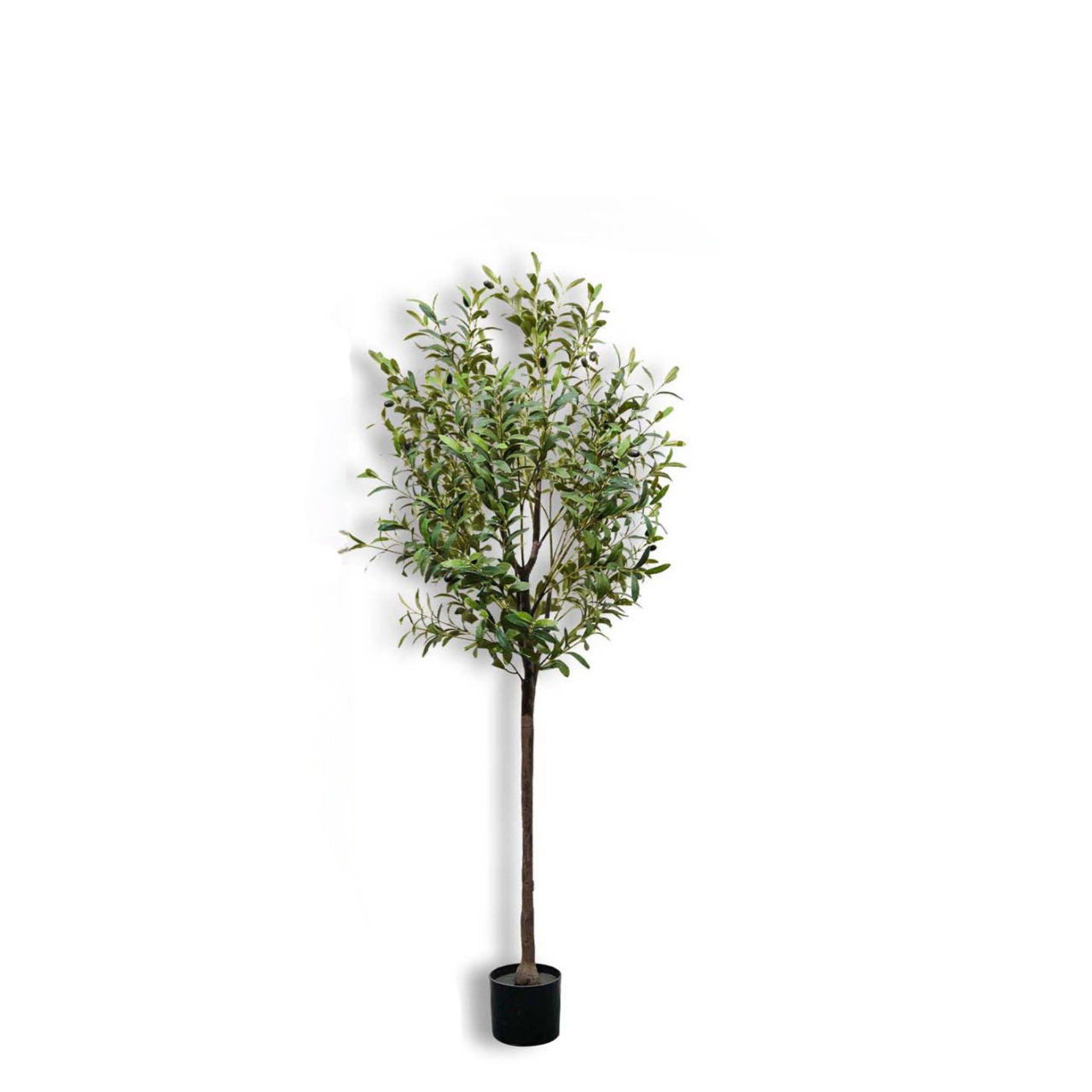 150cm/59In Artificial Olive Tr - Bonsai Garden Sushi ulasan dan harga