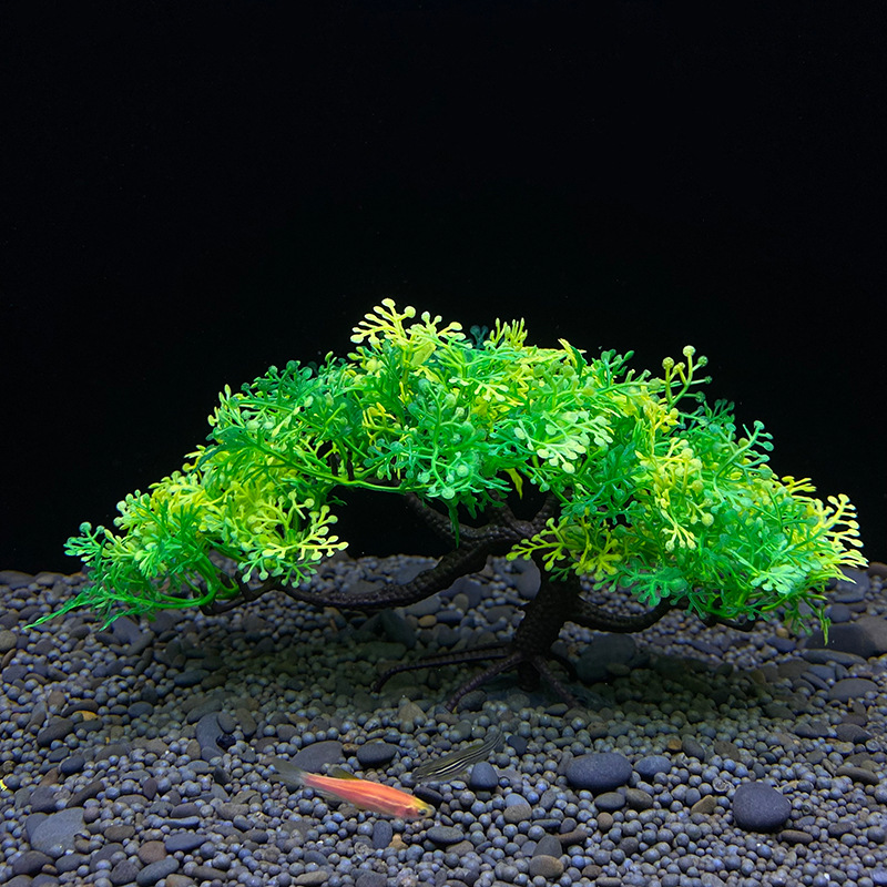 Aquarium Bonsai Tree, Plant, F - Bonsai Garden Sushi ulasan dan harga