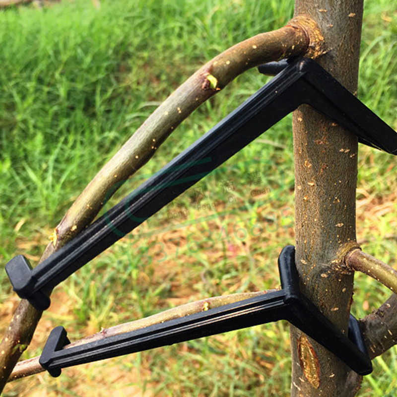 10-30Pcs Fruit Tree Clips Plan - Bonsai Garden Tools ulasan dan harga